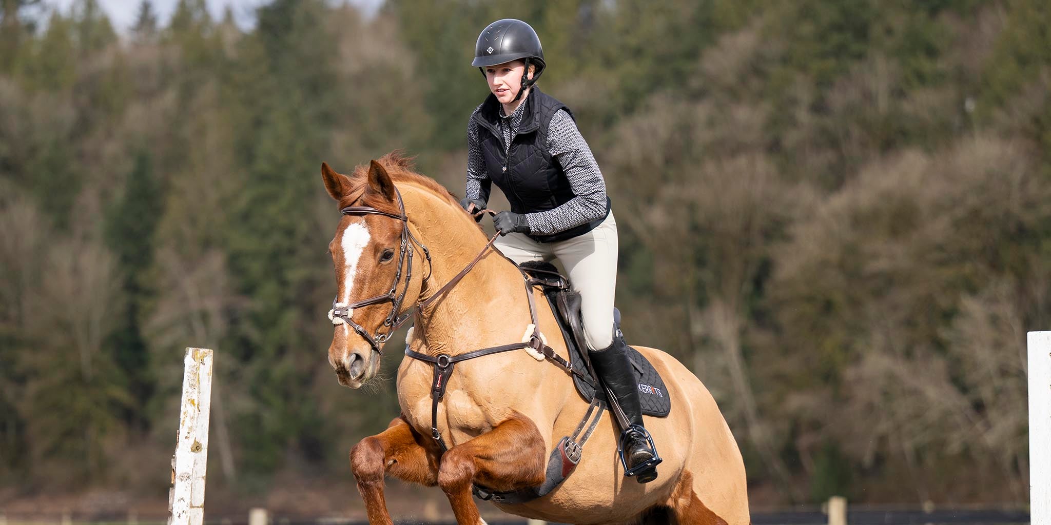 Jodhpurs