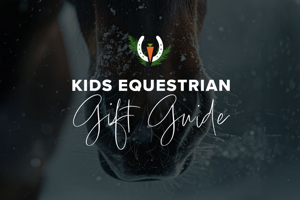 Horse gift ideas hot sale for little girl