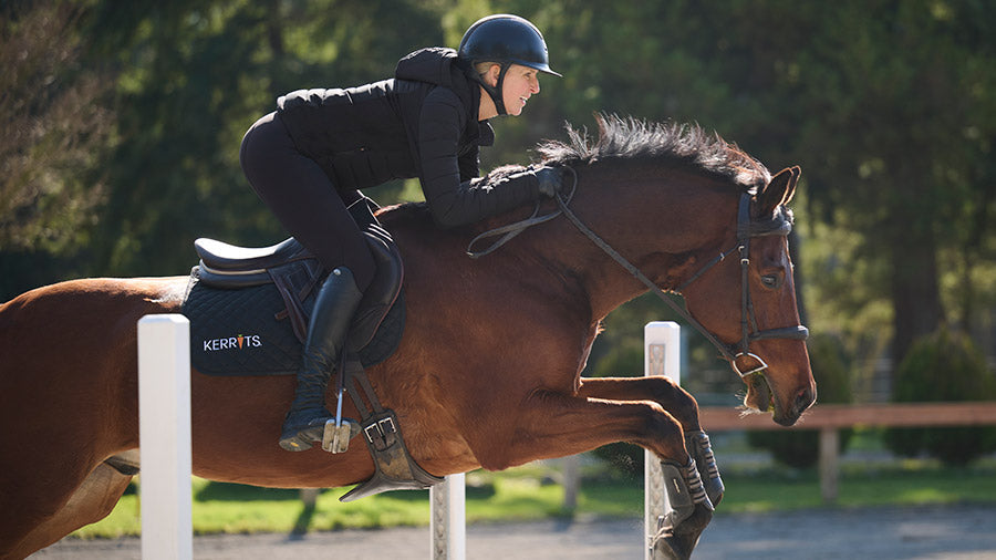 Riding Breeches and Tights