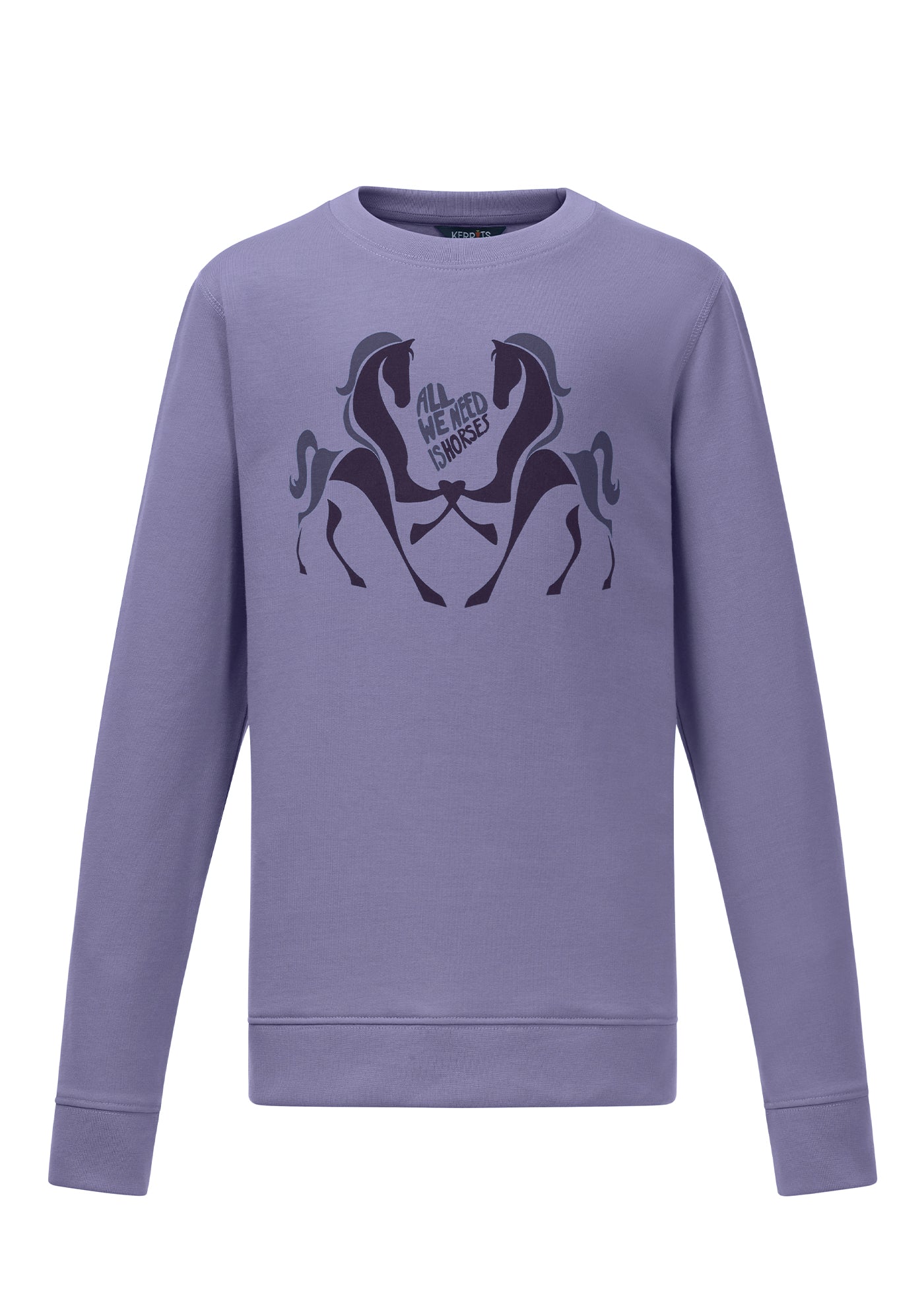 Flat lay of the sweatshirt, showcasing the front graphic, ribbed details, and soft fabric texture