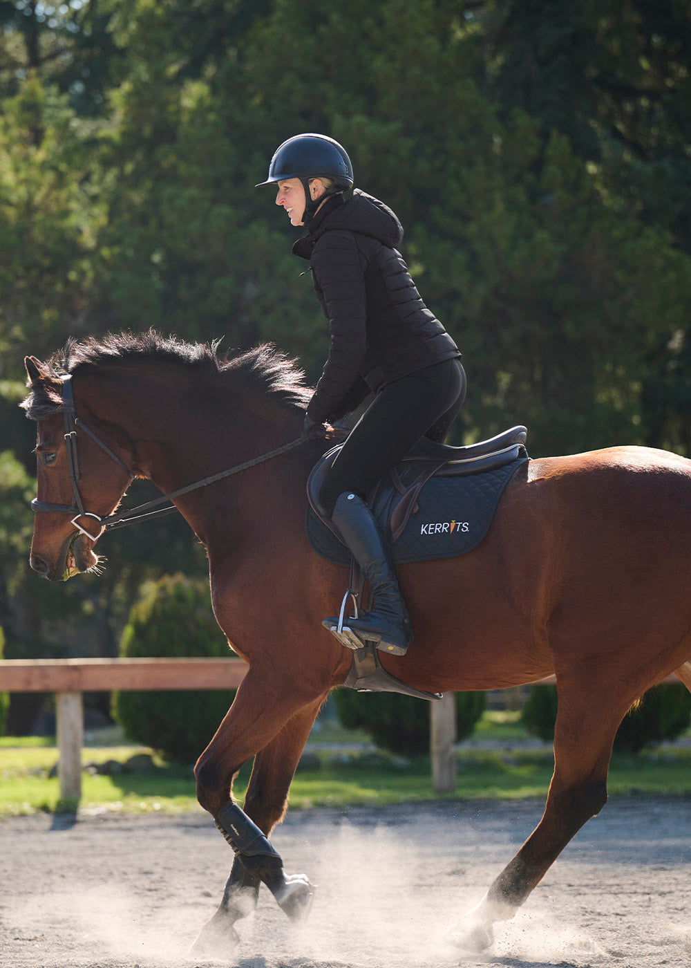 Fusion II Full Leg Equestrian Clinic Breech