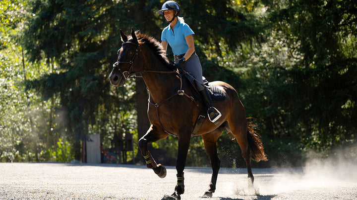 English Riding Clothes – Kerrits Equestrian Apparel