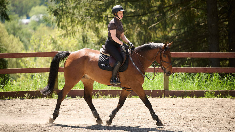 Riding Tights Under $100