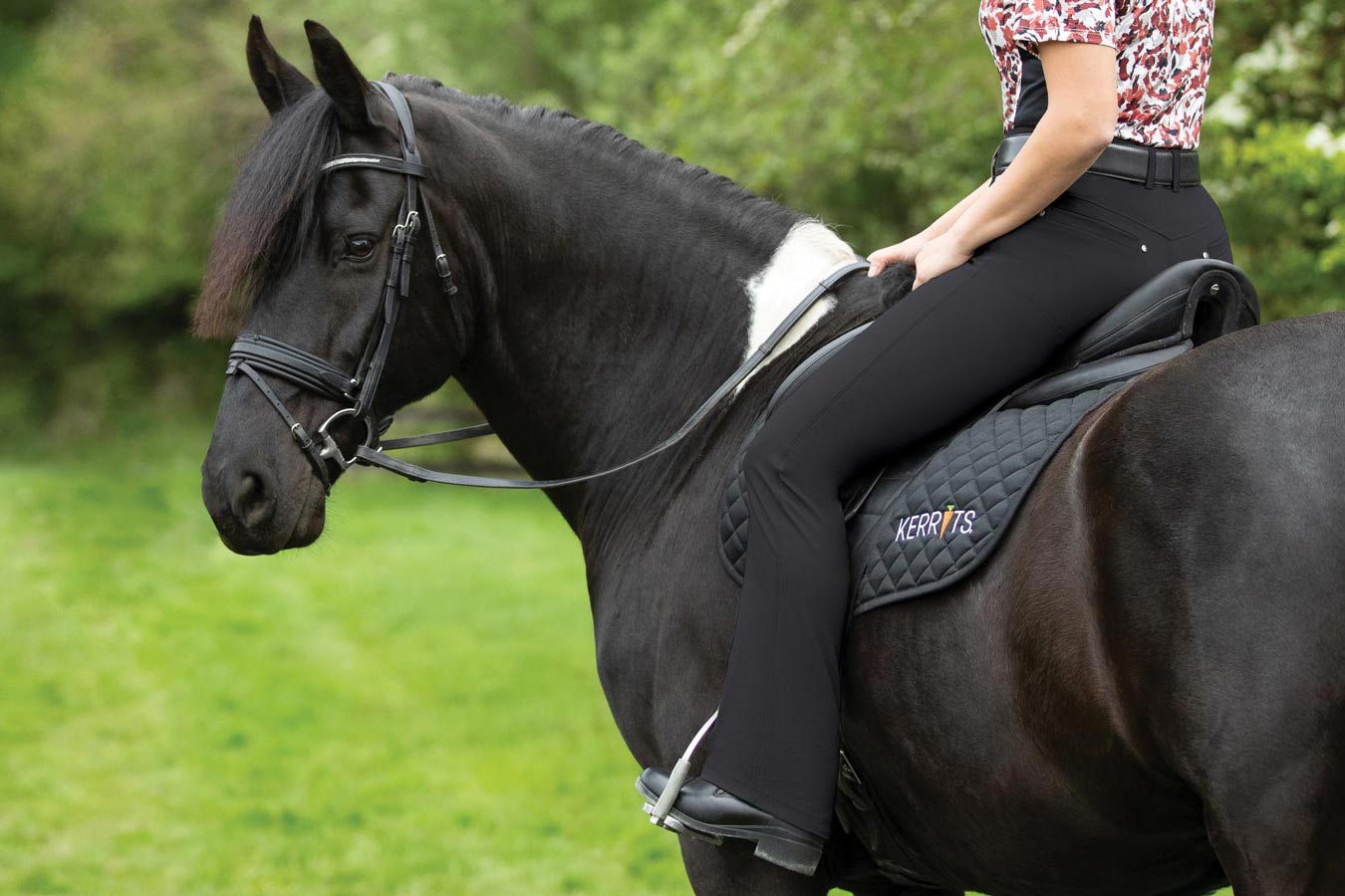 Bootcut Breeches and Riding Tights