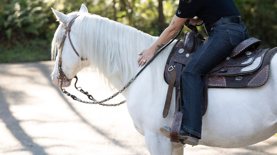 Bootcut Breeches and Riding Tights