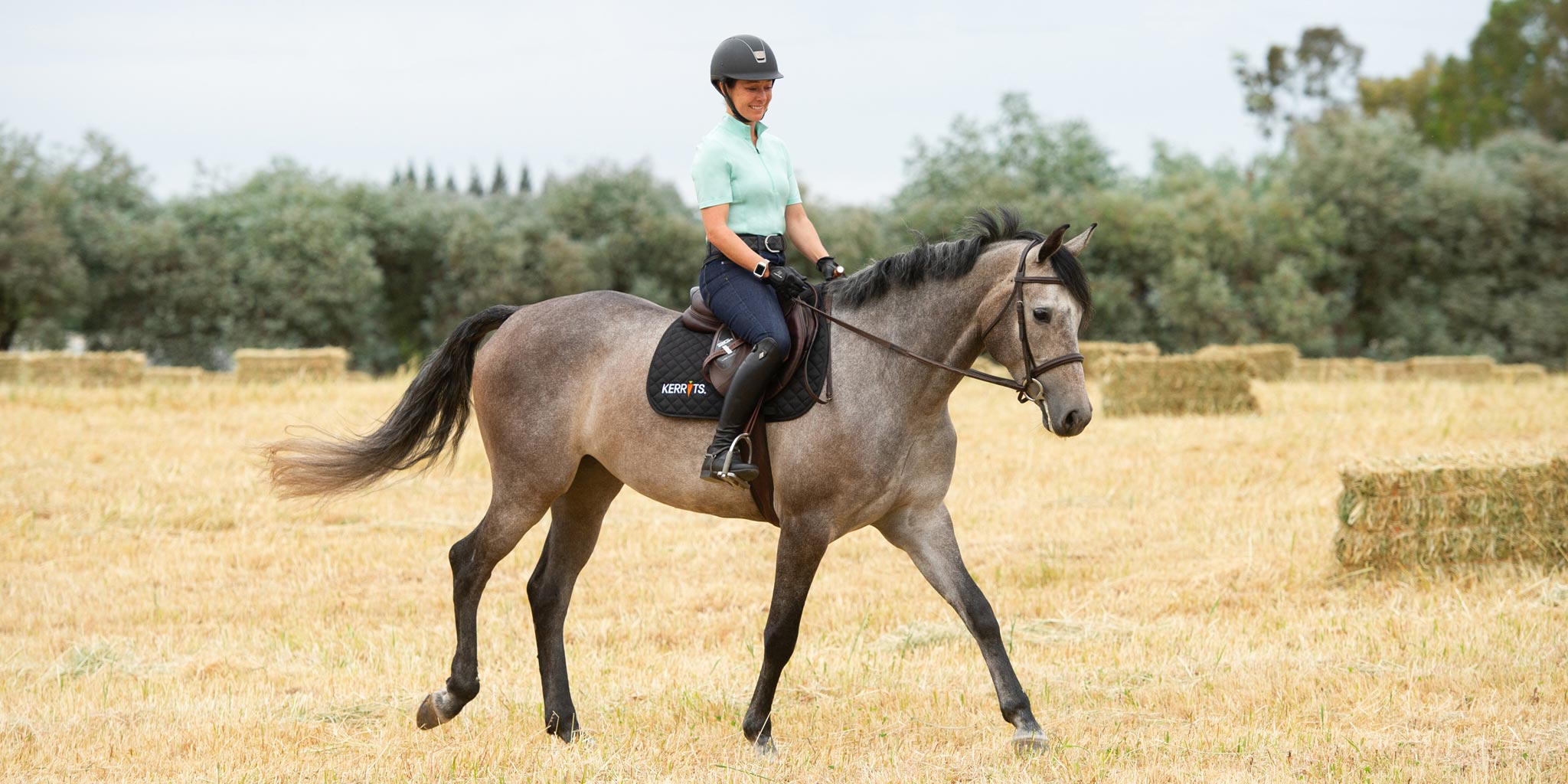 Denim Breeches