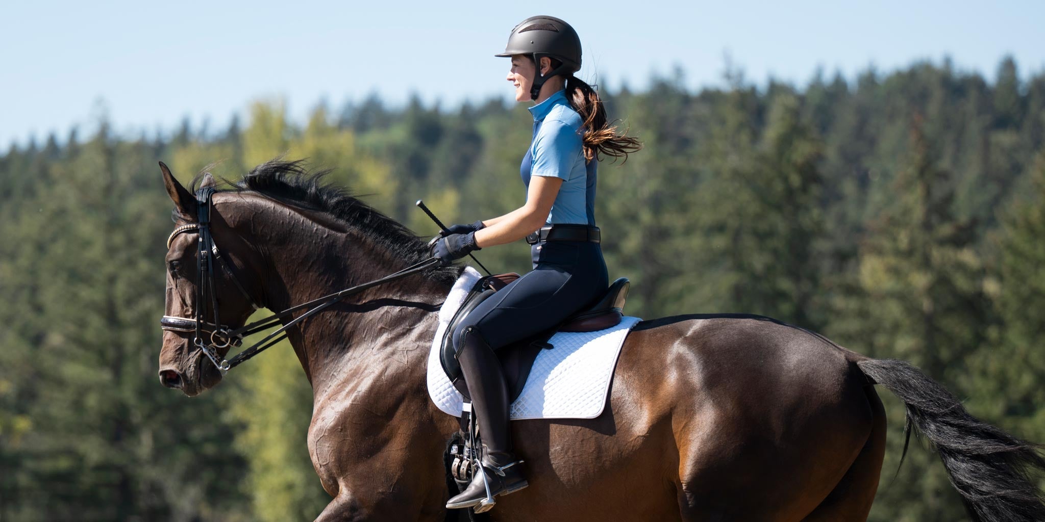 Navy Breeches and Tights