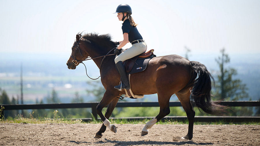 Best Selling Kid's Riding Apparel