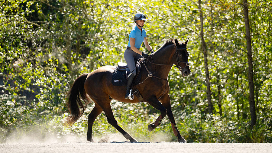 Women's Riding Tops and Outerwear