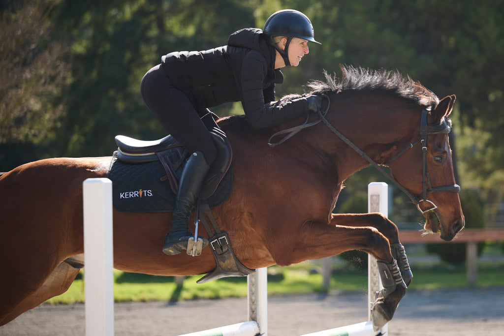 New Women's tights and breeches. Power Stretch Full Seat