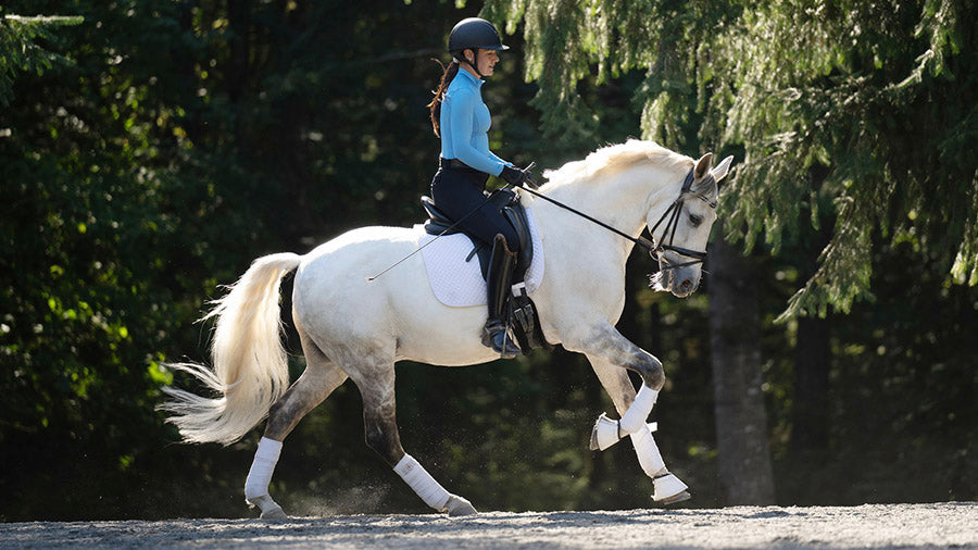 New Women's tights and breeches. Power Stretch Full Seat
