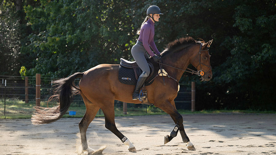 Best Selling Women's Breeches