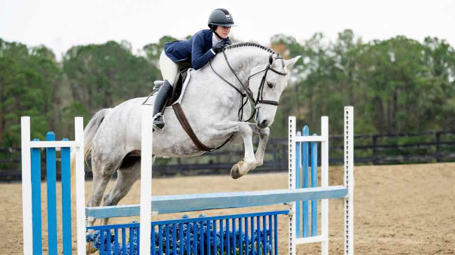 Women's Hunter Jumper Clothing