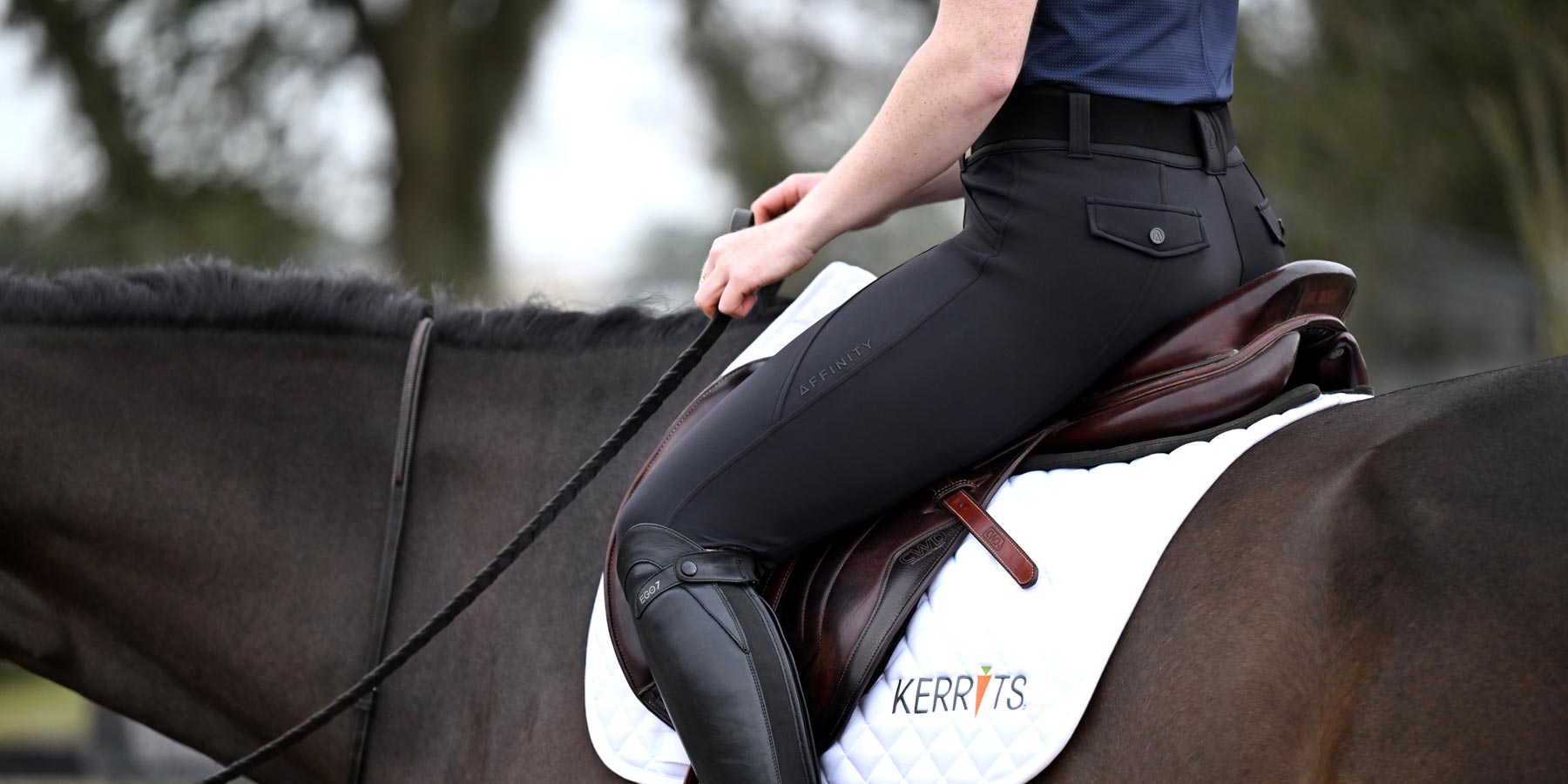 Black Breeches and Tights