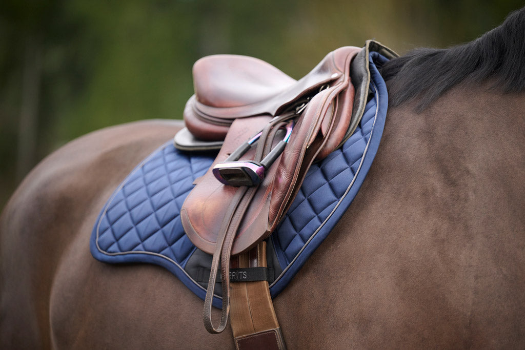 New Equestrian Accessories
