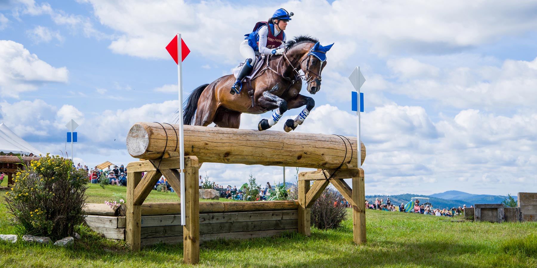 Cross Country Breeches