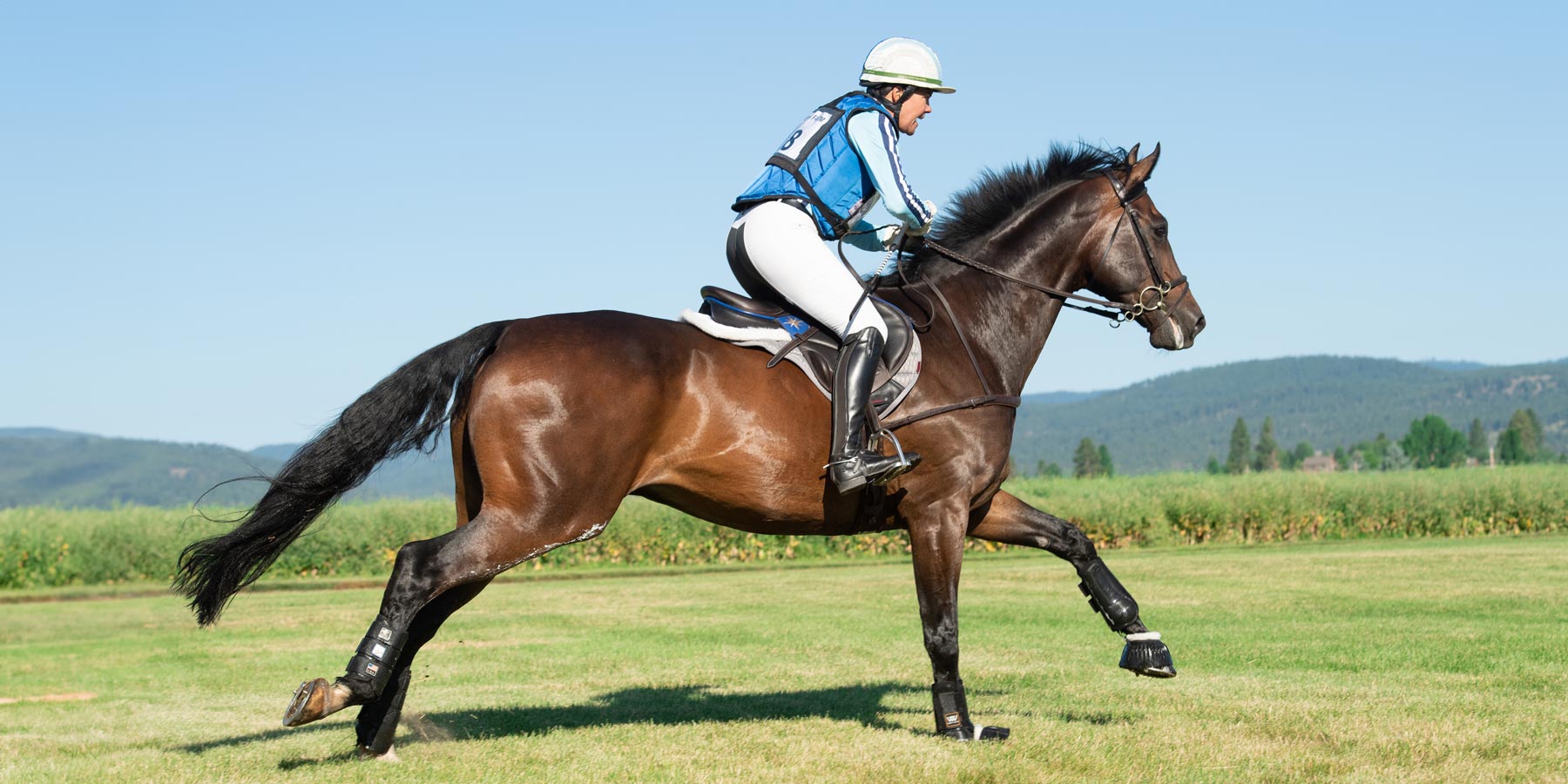 Stain-Resistant Breeches