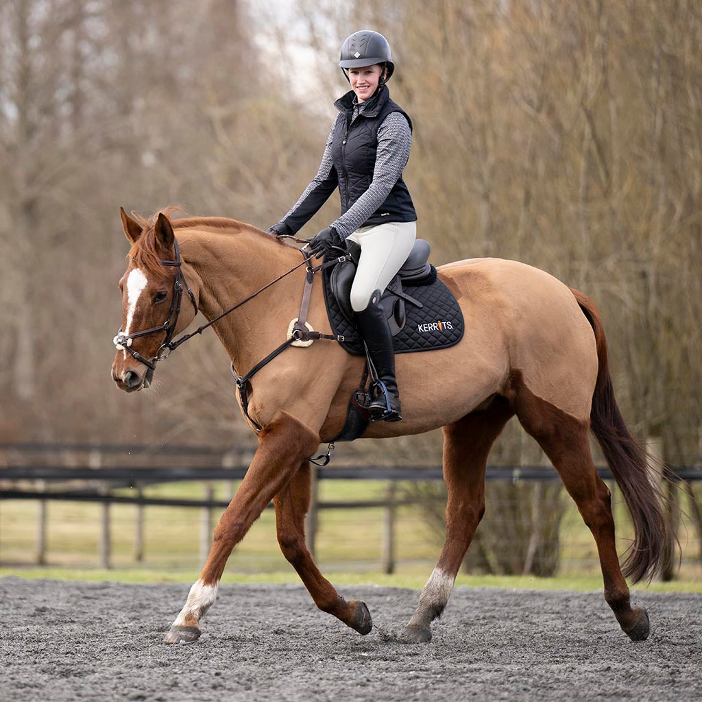 Jodhpurs English Equestrian riding store show pants