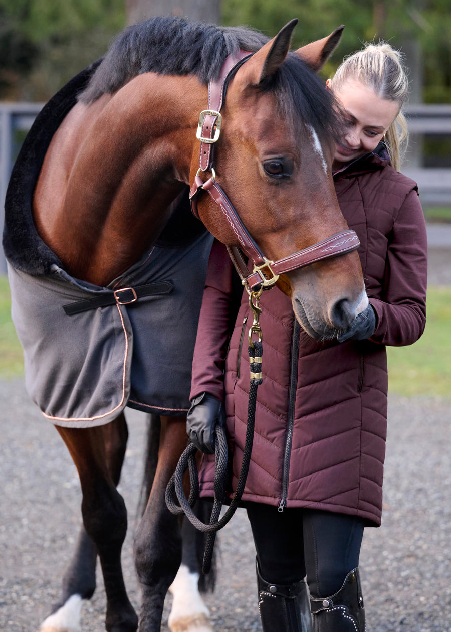 Elevation Insulated Winter Vest
