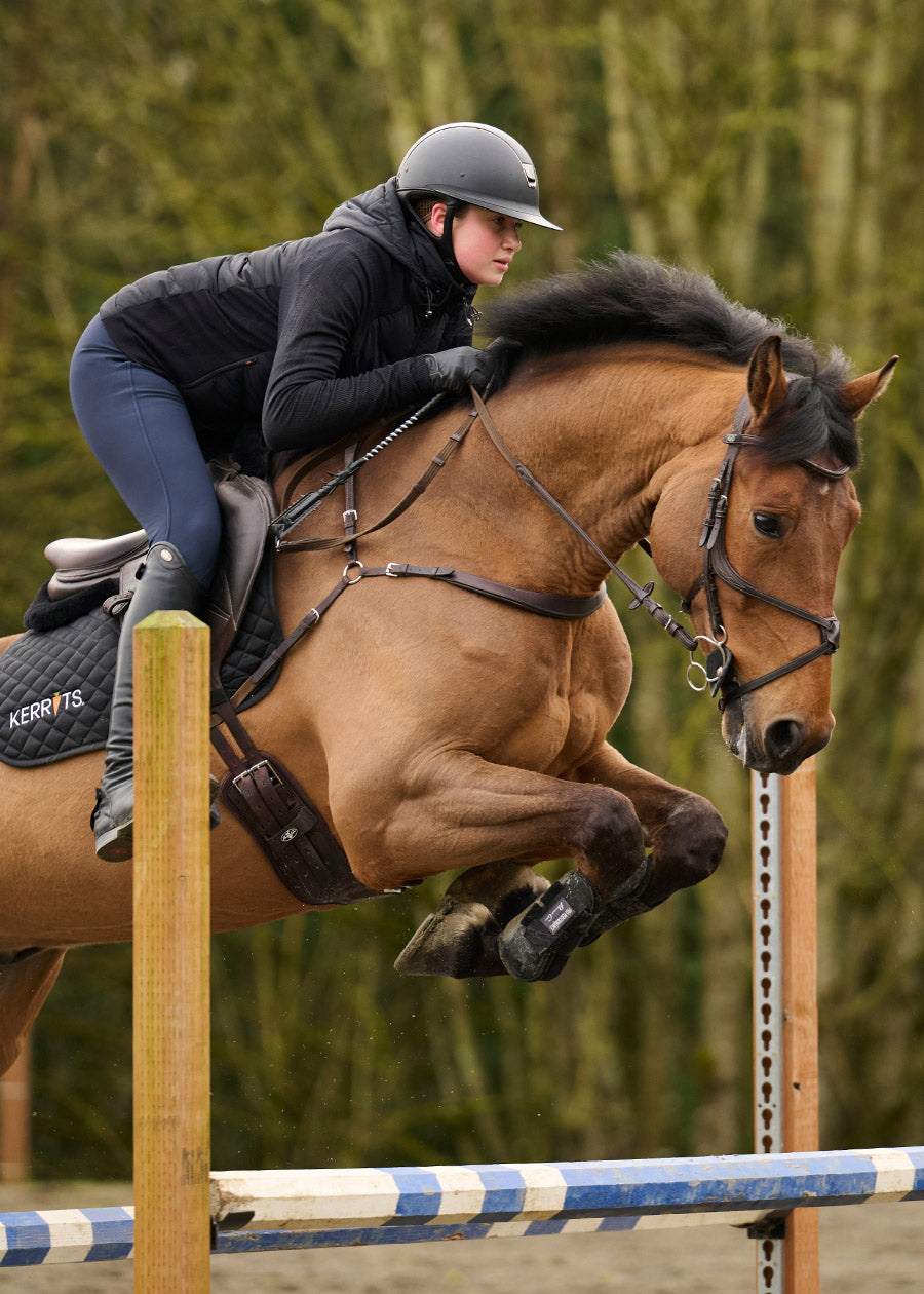 3-Season Tailored Full Seat Riding Breech