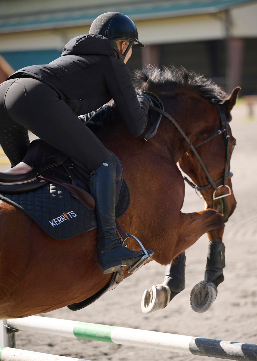 Fusion II Full Leg Equestrian Clinic Breech