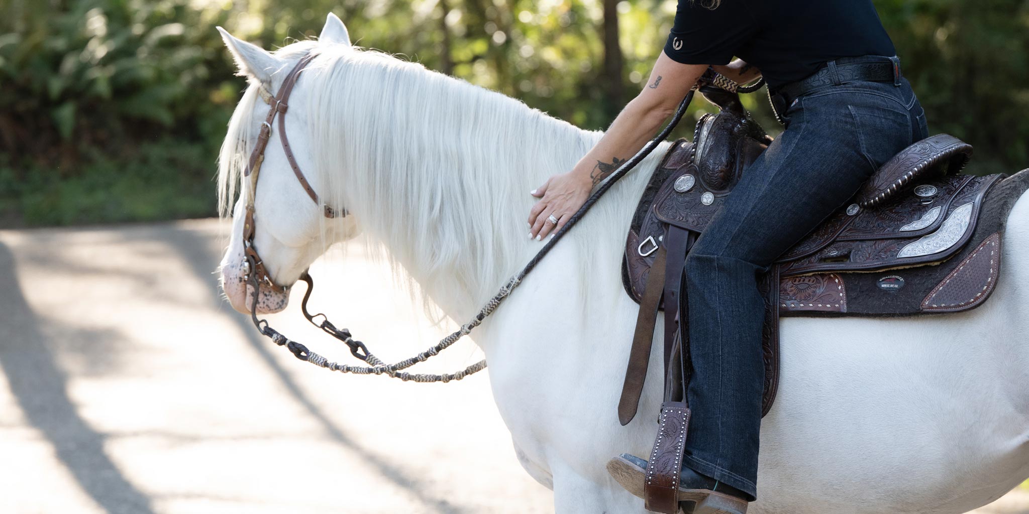 Filet sans mors équitation cheval et poney - noir FOUGANZA