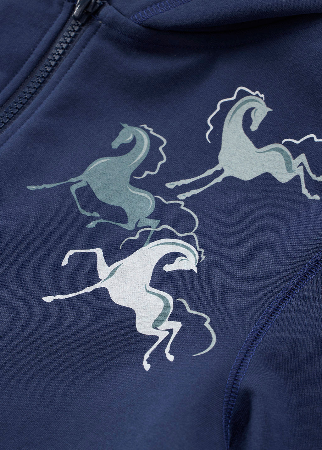 Kids Zip and Whinny Hoodie