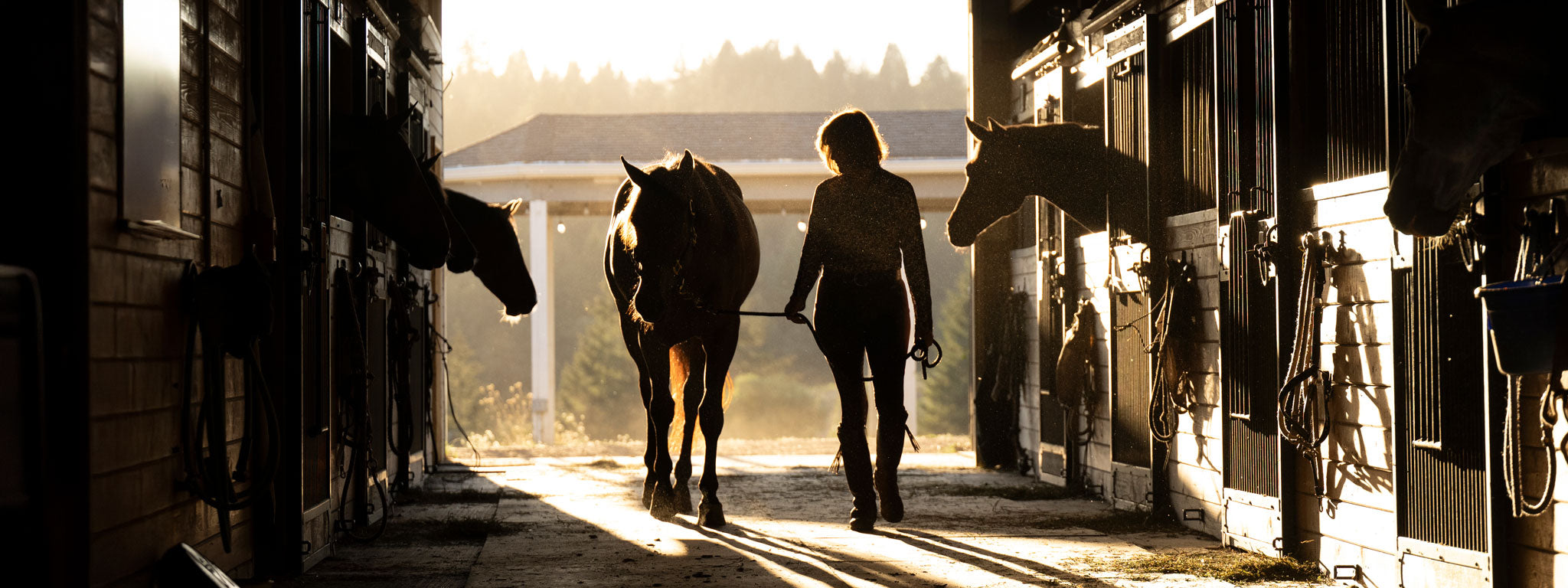 Kerrits Equestrian Lifestyle Blog