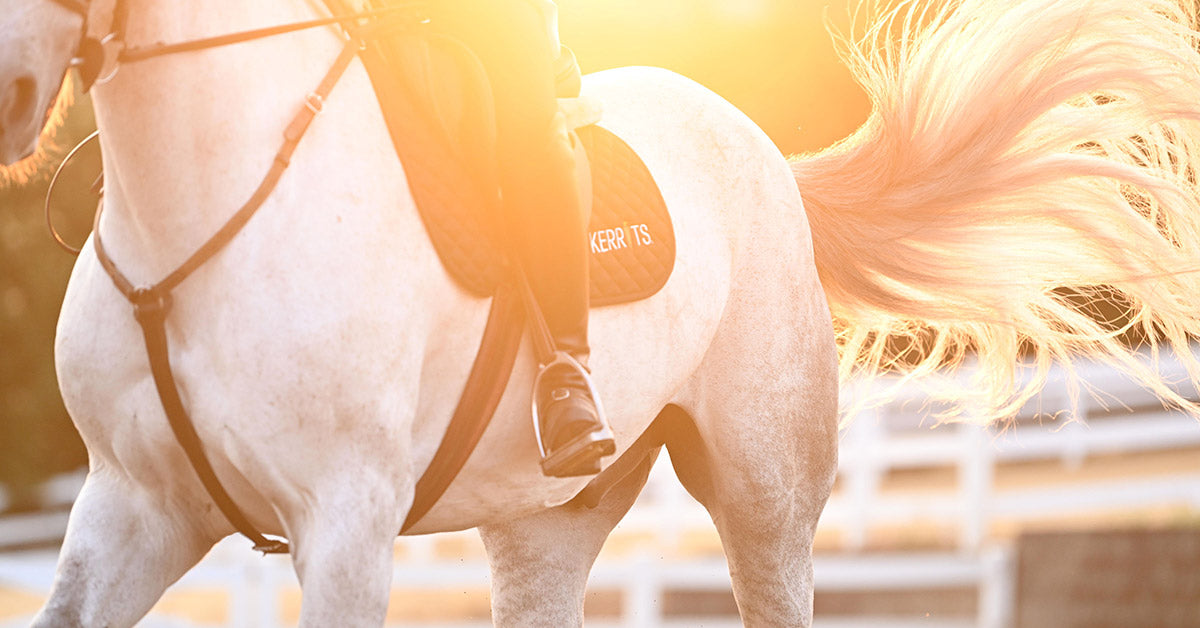 Kerrits Equestrian Apparel